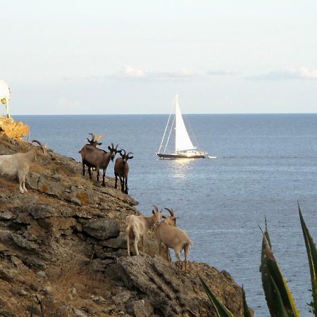 Isola D'Elba Come In Barca, A Un Tuffo Dal Mare Capoliveri  Zewnętrze zdjęcie