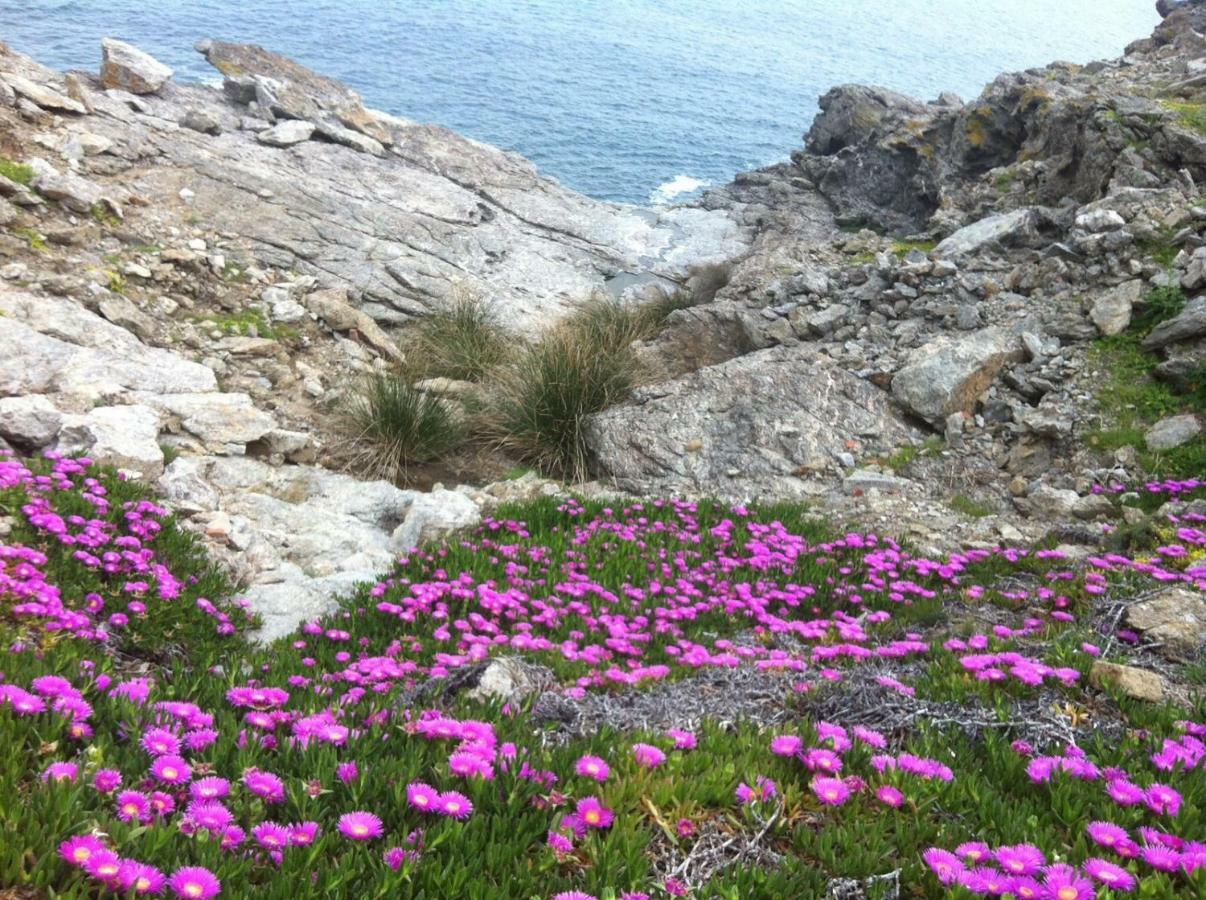 Isola D'Elba Come In Barca, A Un Tuffo Dal Mare Capoliveri  Zewnętrze zdjęcie