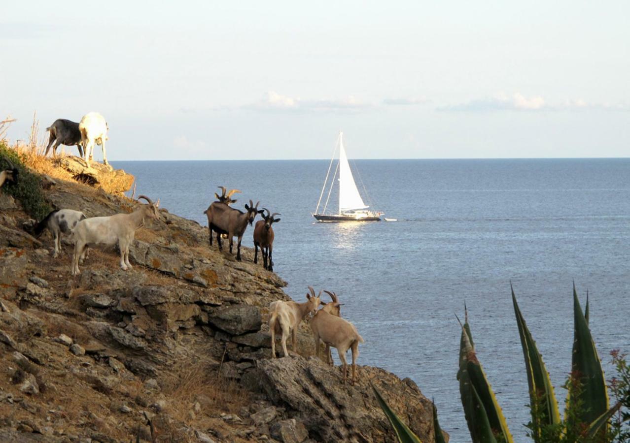 Isola D'Elba Come In Barca, A Un Tuffo Dal Mare Capoliveri  Zewnętrze zdjęcie